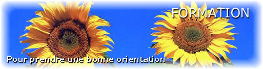 formation